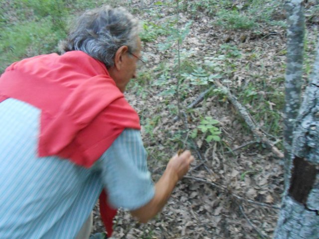 2013_07_26 20 fileminimizer